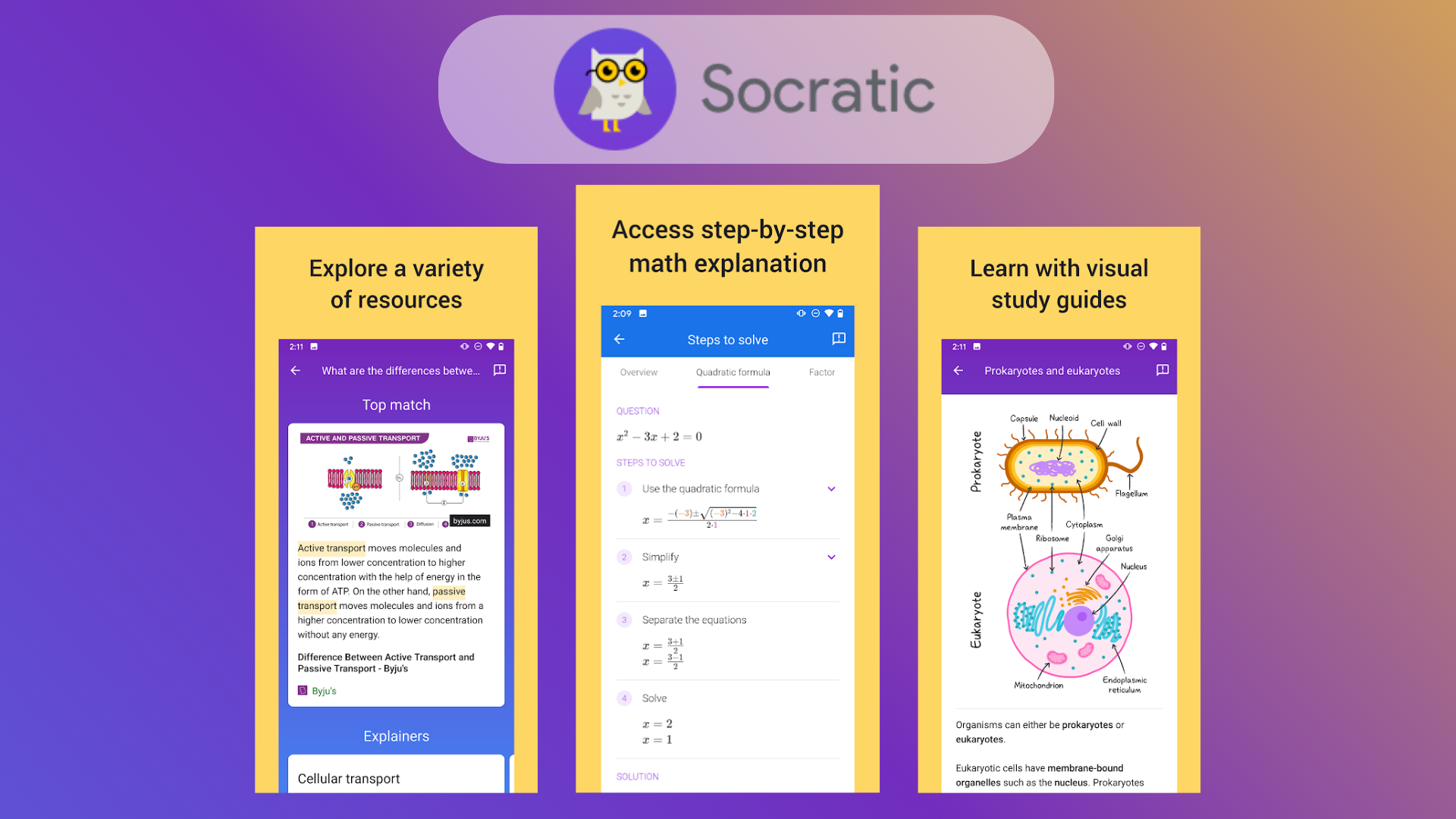 Socratic Your AI Homework Helper