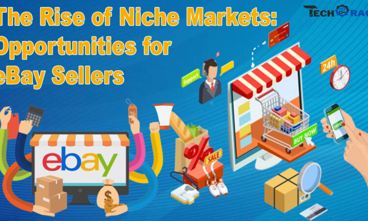 The Rise of Niche Markets: Opportunities for eBay Sellers