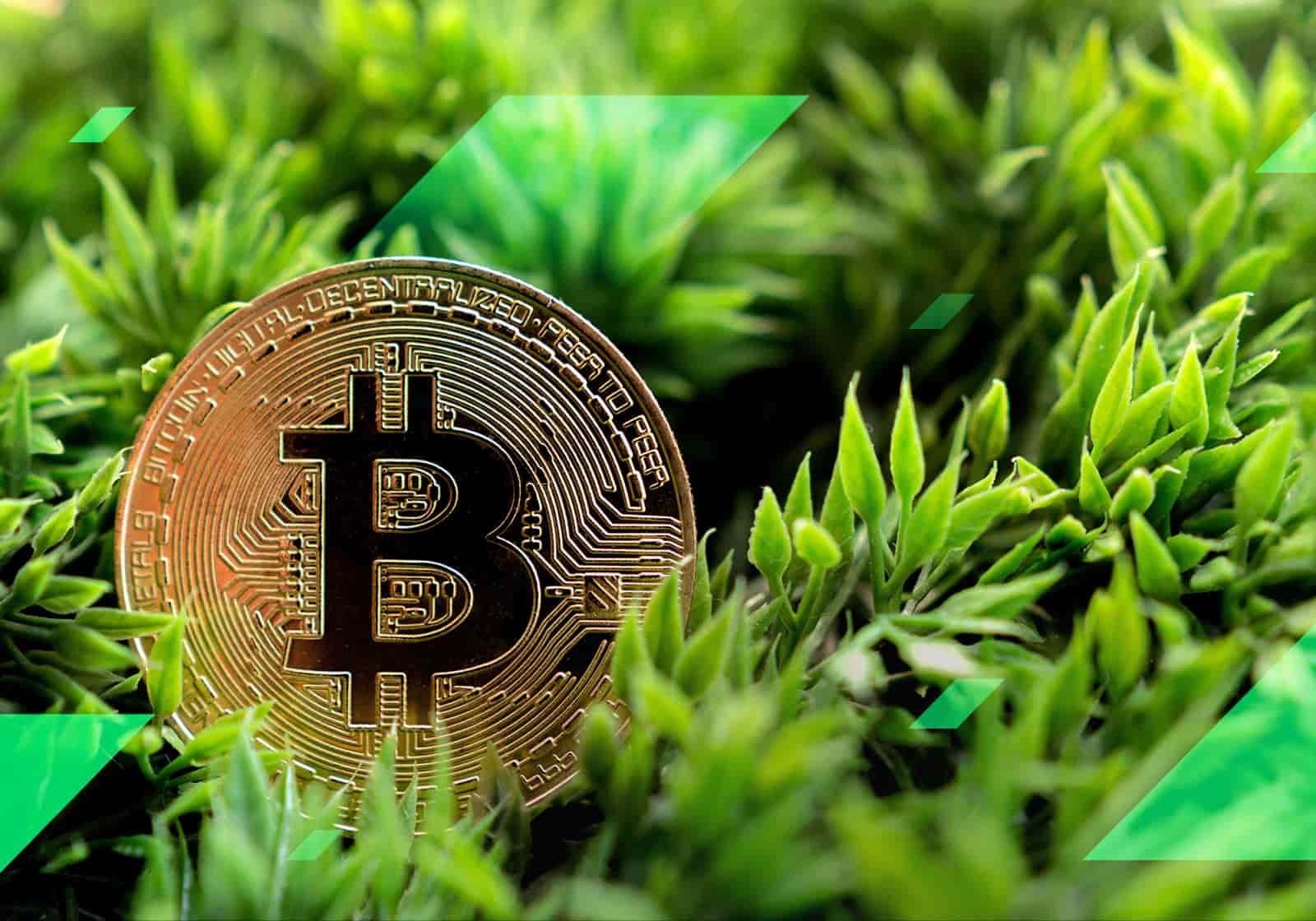 The Rise of Green Cryptocurrency A New Hope for the Environment​