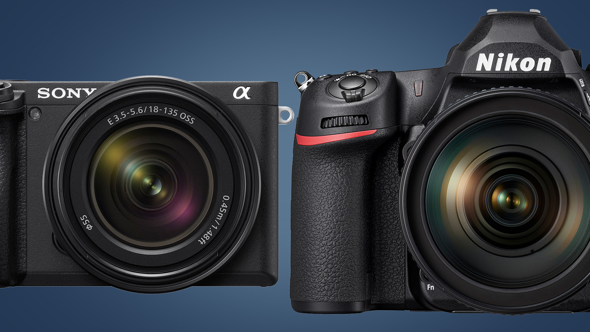 Understanding the Basics What are Mirrorless Cameras and DSLRs?​