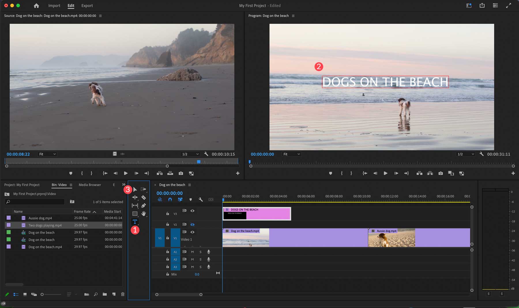 Adobe Premiere Pro​