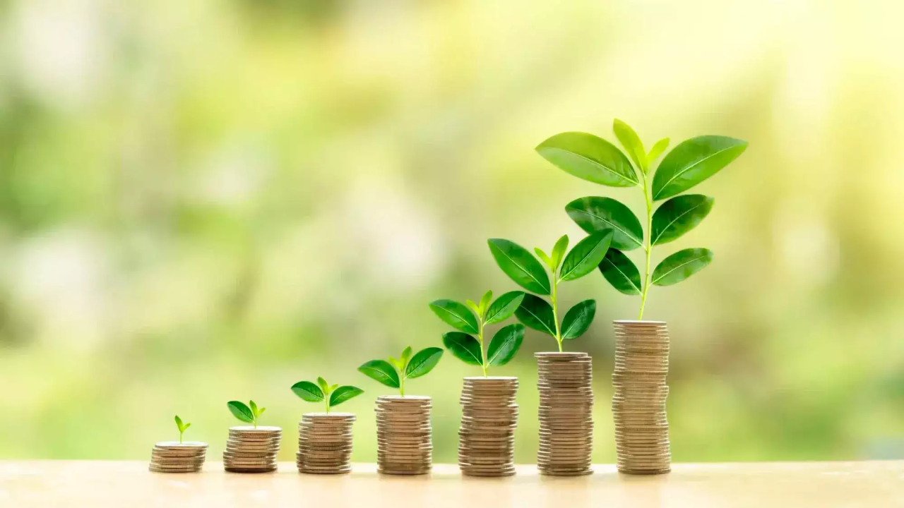 The Growth of Green Finance​